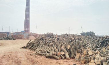 হাইকোর্টের নির্দেশনার পরও চাঁপাইনবাবগঞ্জে বন্ধ হয়নি শতাধিক ইটভাটা