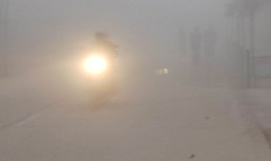 ঘন কুয়াশায় ঢাকা দিনাজপুর, হেডলাইট জ্বালিয়ে চলছে গাড়ি