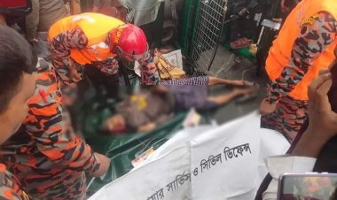 ভেড়ামারায় সড়ক দুর্ঘটনায় নিহত ২