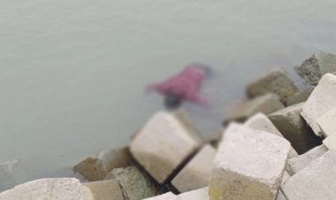 মেঘনা থেকে যুবকের ভাসমান মরদেহ উদ্ধার