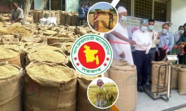 আমন সংগ্রহ সফল করতে সরকারের ১৭ নির্দেশনা