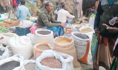মেহেরপুরে গম বীজ সংকটে দিশেহারা কৃষক