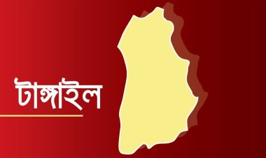 টাঙ্গাইলে বিএনপির ১৭ নেতাকর্মীকে আটকের অভিযোগ