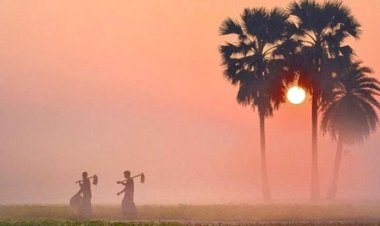 দেশের সর্বনিম্ন তাপমাত্রা শ্রীমঙ্গলে