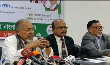 সরকার সব প্রতিষ্ঠান ধ্বংস করে দিয়েছে, মেরামতের বিকল্প নেই: নজরুল