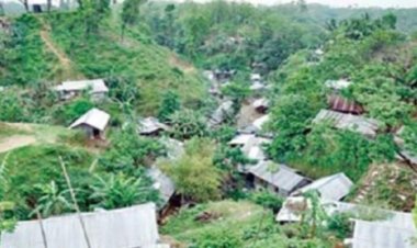 শেরপুরে দখল হচ্ছে বনভূমি, উজাড় হচ্ছে গারো পাহাড়