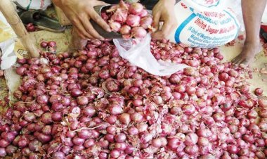 বাড়ছে পেঁয়াজের দাম