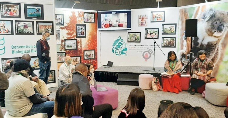 কপ-১৫ সম্মেলন: জীববৈচিত্র্য রক্ষায় অর্থ বরাদ্দ বাড়ানোর আহ্বান