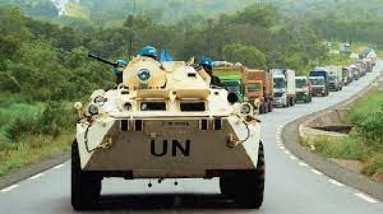  মালিতে বন্দুকধারীর হামলায় দুই শান্তিরক্ষী নিহত