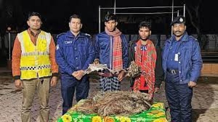 ফাঁদ পেতে পাখি শিকারের দায়ে দুই যুবকের কারাদণ্ড