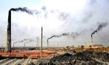 অবৈধ ইটভাটার বিরুদ্ধে ব্যবস্থা নিতে ডিসিদের নির্দেশ