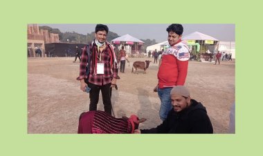 গরু-ছাগলের মেলা বসেছে রাজধানীতে