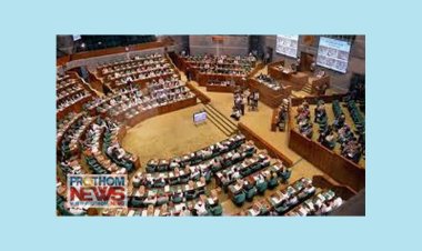 মেহেরপুর ও নওগাঁয় নতুন বিশ্ববিদ্যালয় স্থাপন বিল সংসদে