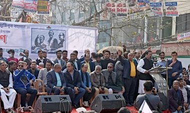  সরকার পতন না হলে রাজনীতি থেকে বিদায়ের ওয়াদা করুন, ফখরুলকে নানক