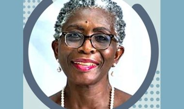 সংকটের সীমানায় অর্থনীতি: আইএমএফ