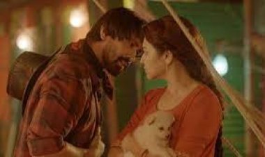 ঢাকায় আবারও ‘বিউটি সার্কাস’