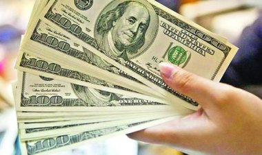 বাংলাদেশ ব্যাংকের বার্ষিক প্রতিবেদন ডলারে অস্থিরতায় টাকার মান কমার আশঙ্কা