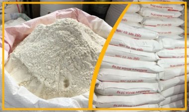 ভারতে আটা-ময়দার দাম ১০ বছরের মধ্যে সর্বোচ্চ