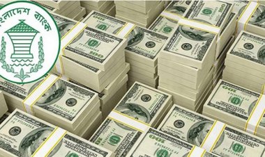 ডলার দেব, রোজার পণ্যের এলসি খুলুন