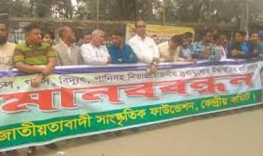 সরকারের পতন ছাড়া জনগণের মুক্তি অসম্ভব: দুদু
