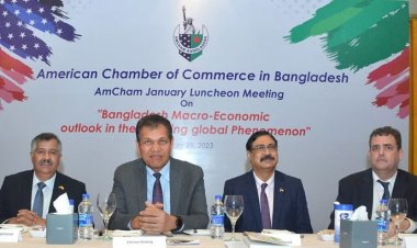 অ্যামচ্যামের সভায় এডিবির কান্ট্রি ডিরেক্টর আর্থিক খাতের সংস্কারসহ অর্থনীতিতে ৫ চ্যালেঞ্জ