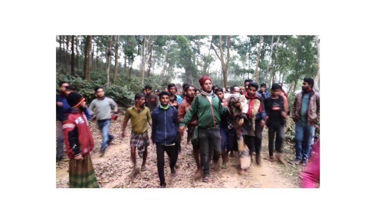 নালিতাবাড়ীতে বন্য হাতির আক্রমণে যুবক নিহত