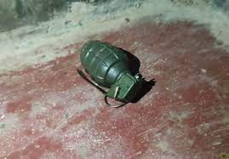 বিশেষজ্ঞ টিমের নিয়ন্ত্রণে গ্রেনেড, রোহিঙ্গা ক্যাম্পে বাড়ছে আতঙ্ক