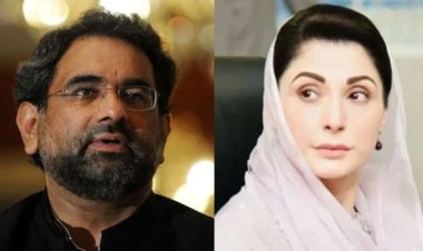 মরিয়ামের পদোন্নতিতে পদত্যাগ করলেন পিএমএলের শীর্ষ নেতা