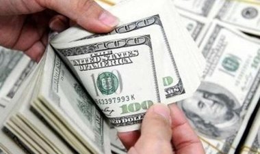 রিজার্ভ থেকে রেকর্ড ৯২০ কোটি ডলার বিক্রি