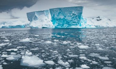 বিশ্ব উষ্ণায়নের প্রভাব বাড়ছে, দ্রুত গলছে অ্যান্টার্কটিক মহাসাগরের বরফ