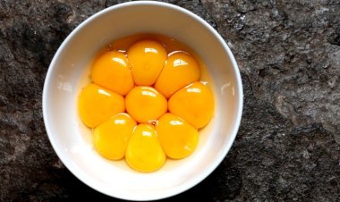 ডিমের কুসুম খাওয়ার উপকারিতা