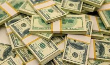 আইএমএফ’র শর্ত পূরণ ডলারের একক দর কার্যকর হচ্ছে