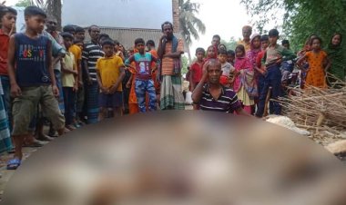 মেয়ের ইটের আঘাতে পিতার মৃত্যু