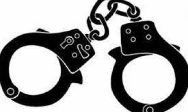 ব্রহ্মপুত্র নদীর দুর্গম চরাঞ্চলে ভুট্টা ক্ষেত থেকে ৯ তরুণী গ্রেপ্তার