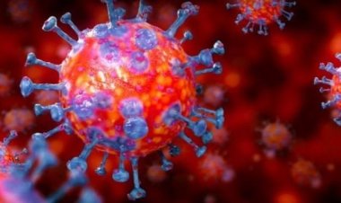 কোভিড-১৯ সম্ভবত চীনা ল্যাব থেকে ছড়িয়েছে : এফবিআই প্রধান