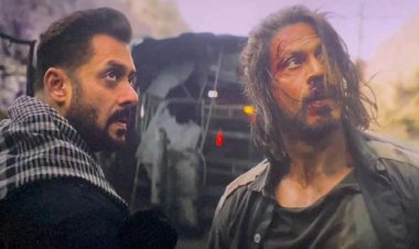 ‘পাঠান’-এর সাফল্যের জের, ফের পর্দায় একসঙ্গে শাহরুখ-সালমন?