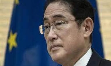 ‘জন্মহার কমতেই থাকলে জাপানের অস্তিত্ব অদৃশ্য হবে’