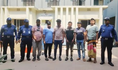 ডিবি পরিচয়ে ডাকাতি হওয়া গরুবোঝাই ট্রাকসহ গ্রেপ্তার ৬