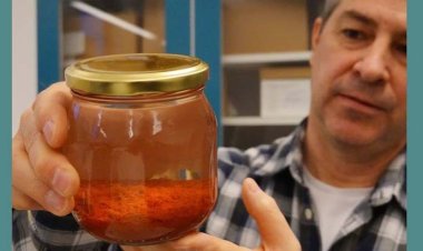 ৫ শত বছর আগের ডুবে যাওয়া জাহাজে মিলল মশলা, মান এখনো অটুট