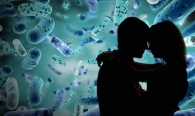 শারিরীক তৃপ্তির জন্য নজর দিতে হবে অন্ত্রের স্বাস্থ্যে! এমন কেন বলেন চিকিৎসকরা?