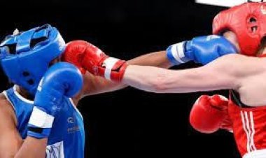 ঢাকায় প্রথম হবে পেশাদার বক্সিং