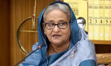 গণহত্যা দিবসের আন্তর্জাতিক স্বীকৃতি চাই: প্রধানমন্ত্রী