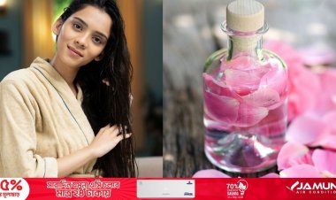চুলে প্রাণ নেই? এভাবে গোলাপ জল ব্যবহার করলে উপকার পাবেন