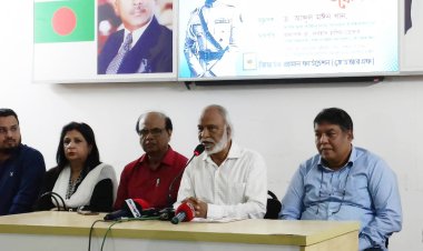 আ.লীগ ক্ষমতায় এলেই গণতন্ত্রকে বিদায় করে: মঈন খান