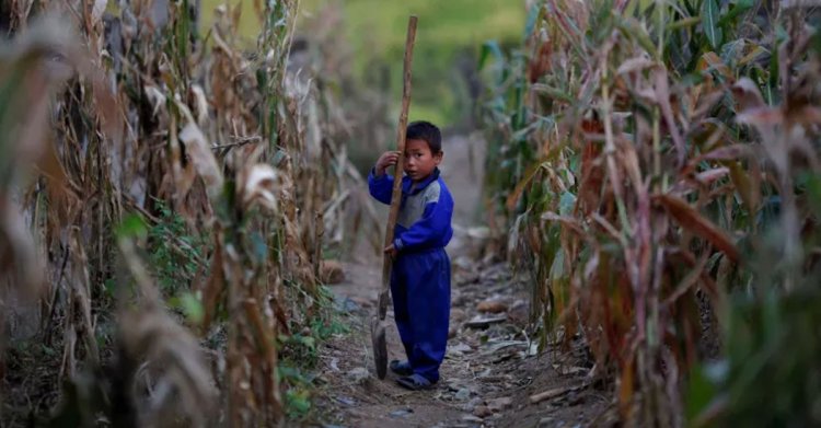 চরম খাদ্য সংকটে উত্তর কোরিয়া