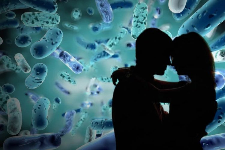 শারিরীক তৃপ্তির জন্য নজর দিতে হবে অন্ত্রের স্বাস্থ্যে! এমন কেন বলেন চিকিৎসকরা?