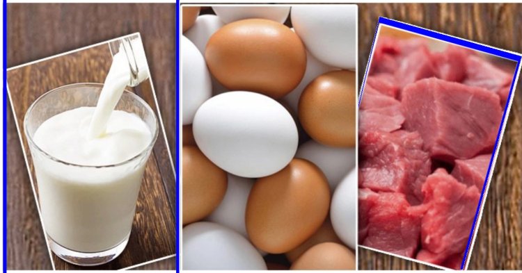 রোজায় এবার বেশি দামে দুধ-ডিম-মাংস বেচবে প্রাণিসম্পদ অধিদপ্তর