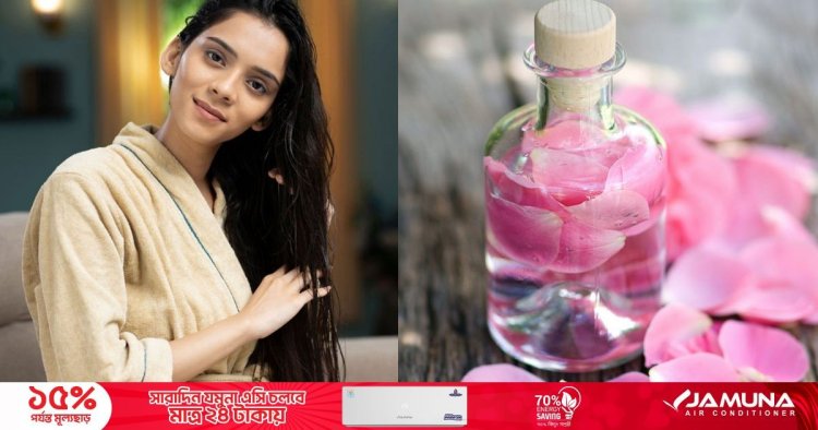 চুলে প্রাণ নেই? এভাবে গোলাপ জল ব্যবহার করলে উপকার পাবেন