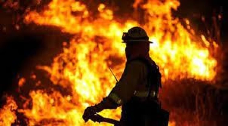 বাড্ডায় মিষ্টির দোকানে আগুন