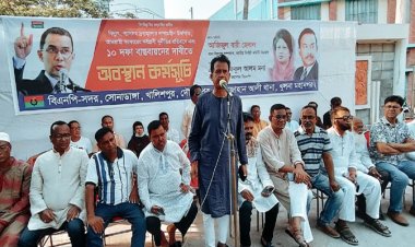 সরকার সংবিধানকে ইচ্ছামতো কাটাছেড়া করেছে: আজিজুল বারী হেলাল